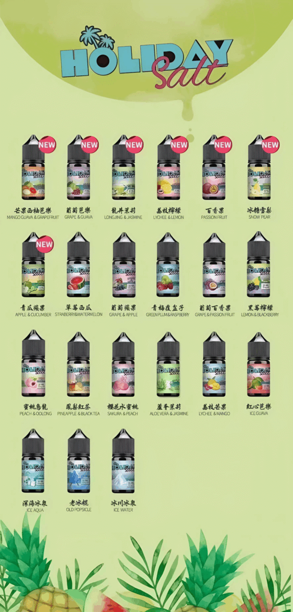 假日鹽煙油 HOLIDAY SALT 30ML/35MG 丁鹽小煙油推薦 現貨
