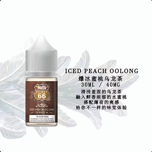 ROUTE 66丁鹽煙油 30ml/ 40mg 美國原裝進口小煙推薦 台灣現貨免運
