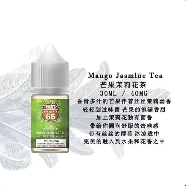 ROUTE 66丁鹽煙油 30ml/ 40mg 美國原裝進口小煙推薦 台灣現貨免運