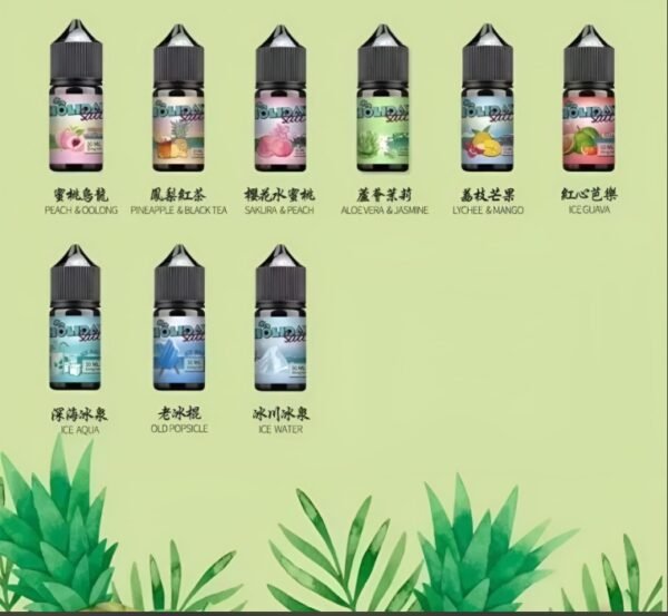 假日鹽煙油 HOLIDAY SALT 30ML/35MG 丁鹽小煙油推薦 現貨